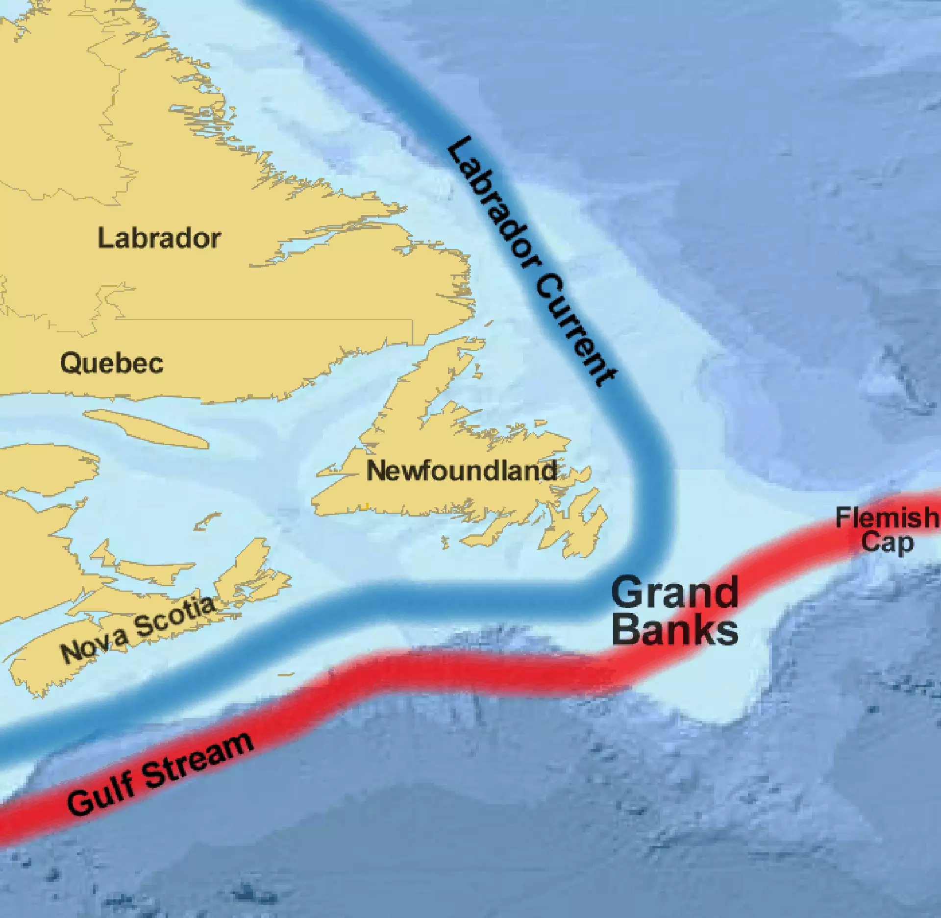 Flemish Cap liggur 563 km eystanfyri New Foundland og Labrador. Navnið Flemish Cap sigst stava frá flamsku (úr hollandi) fiskimonnunum, ið fóru langa teinin vesturyvir at fiskað í 19. øld