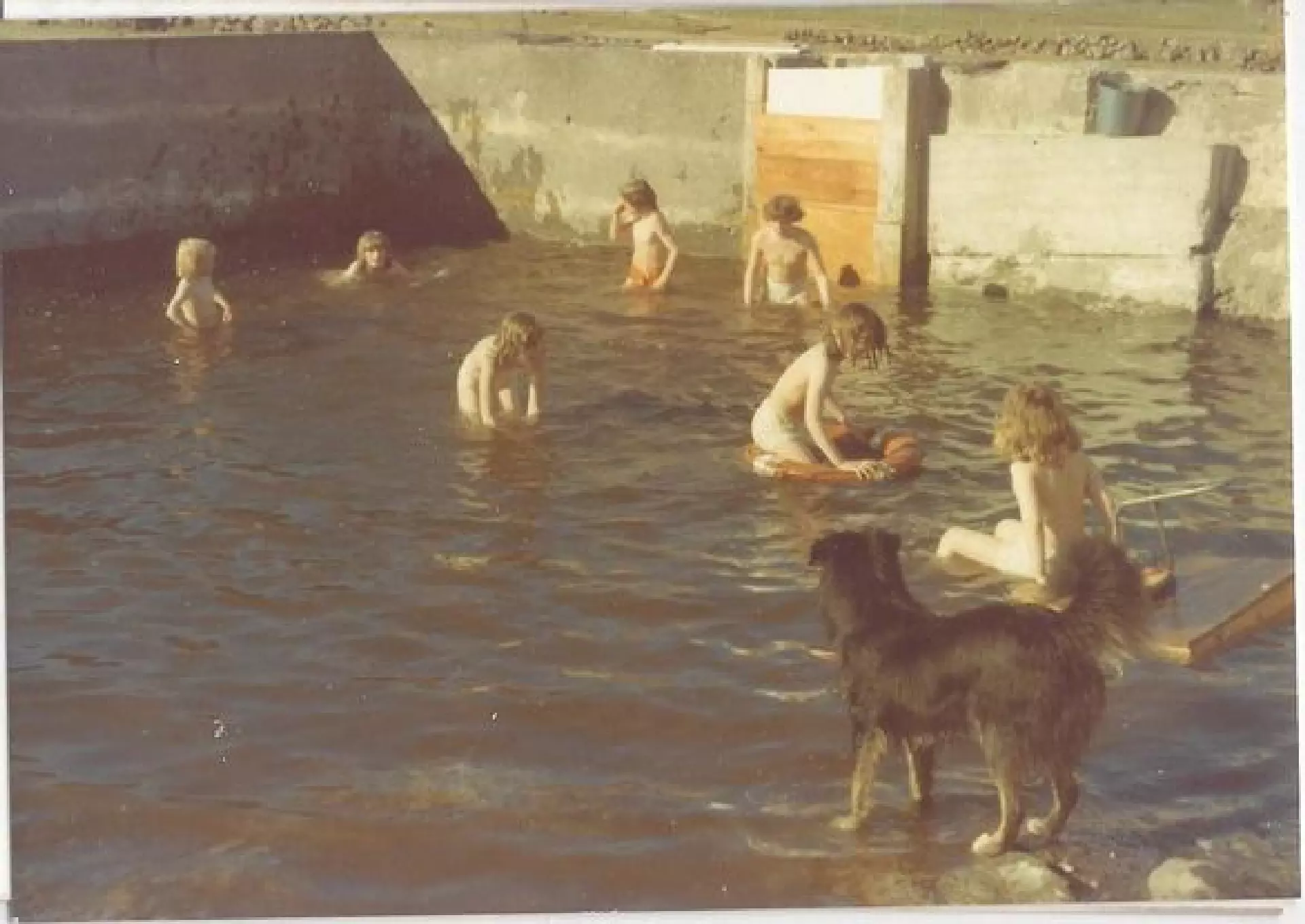 Mynd av svimjandi børnum frá 1977