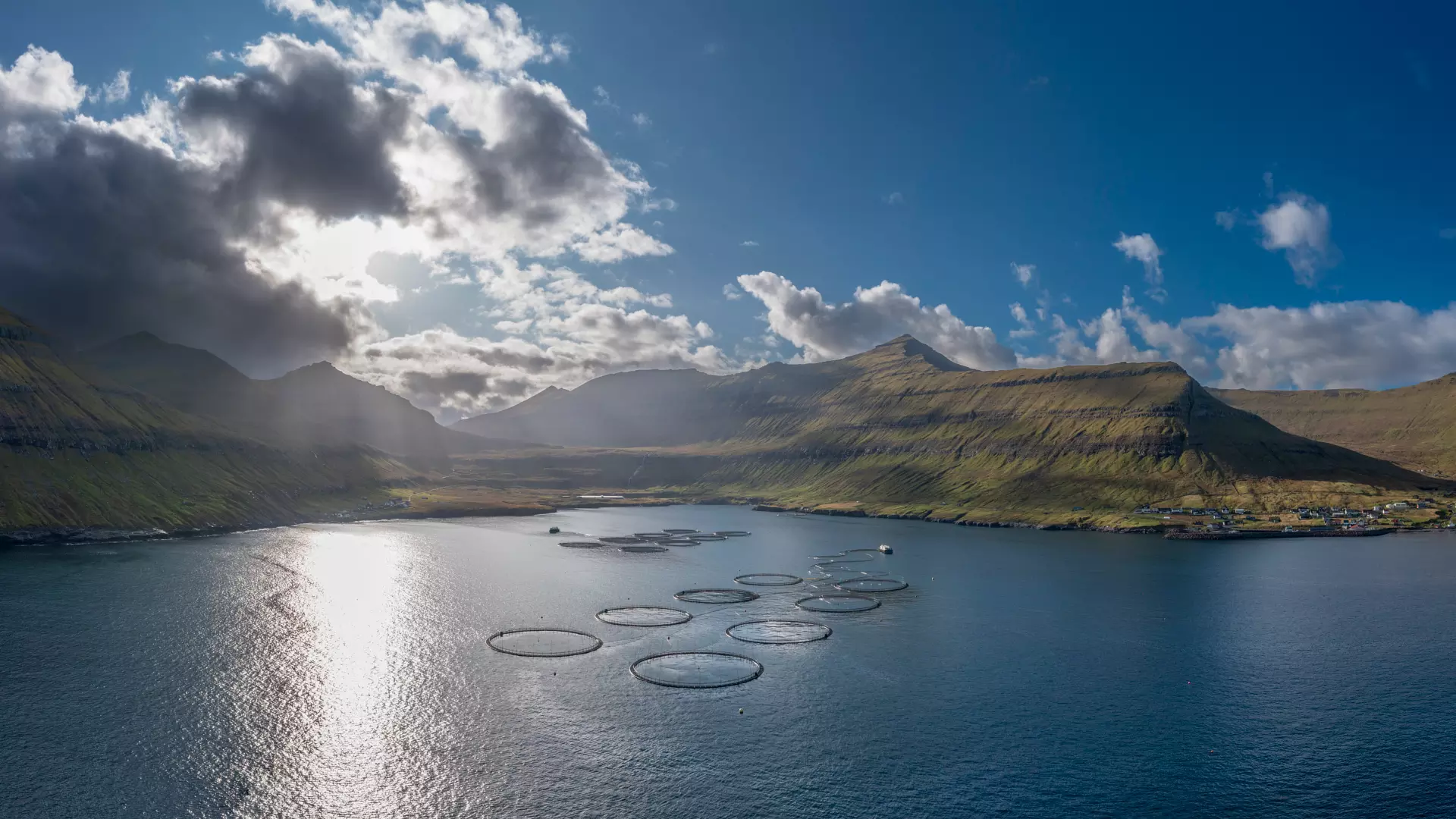 MOWI - Oyndarfjørður-Hellurnar