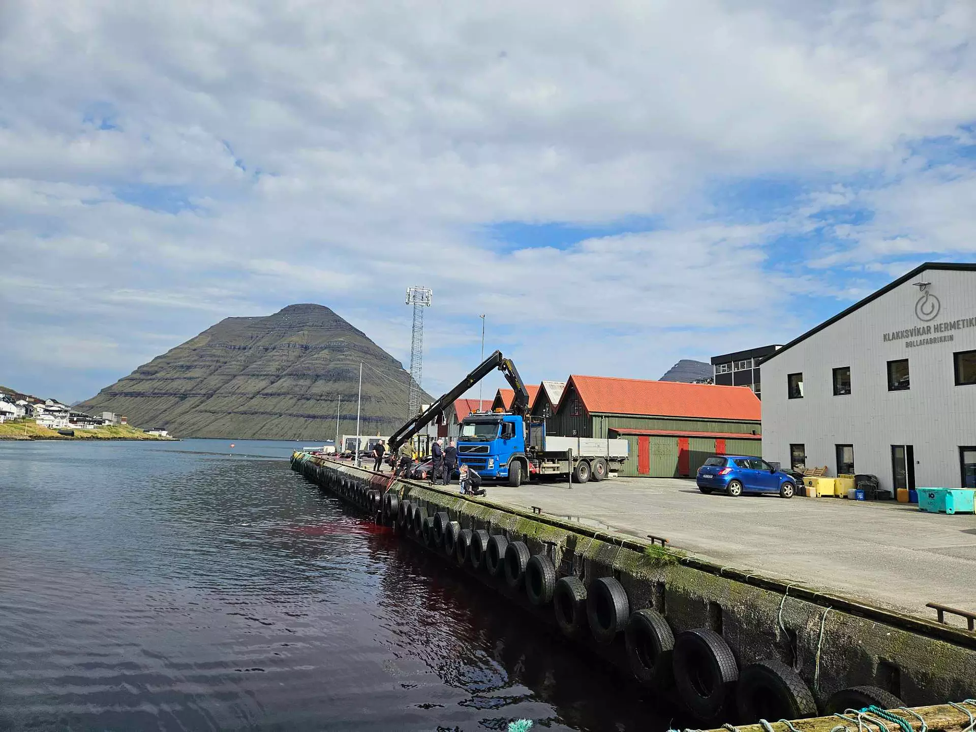 Skorið verður upp við egningarskúrarnar á stongunum
