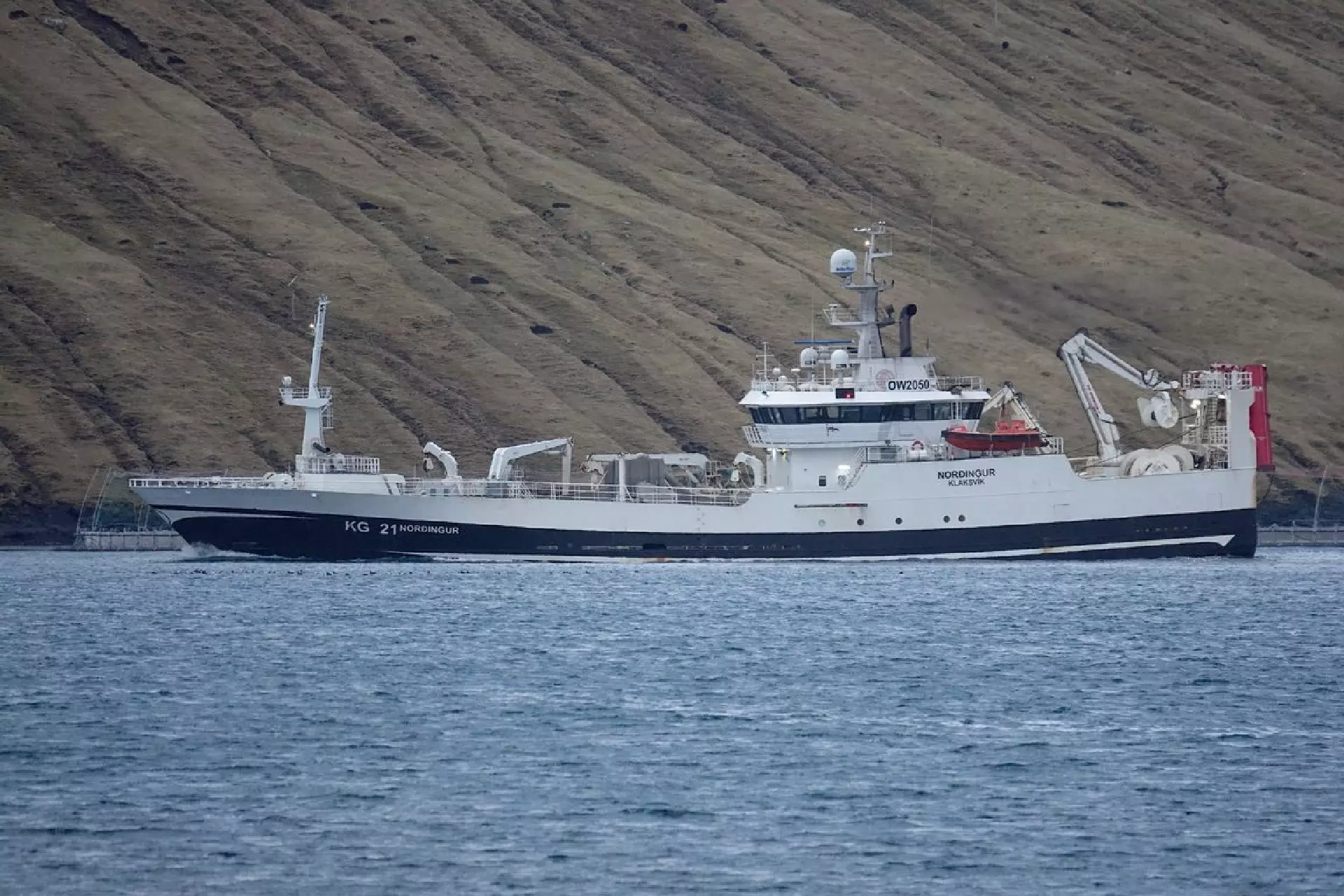 Norðingur. Mynd Oliver Joensen
