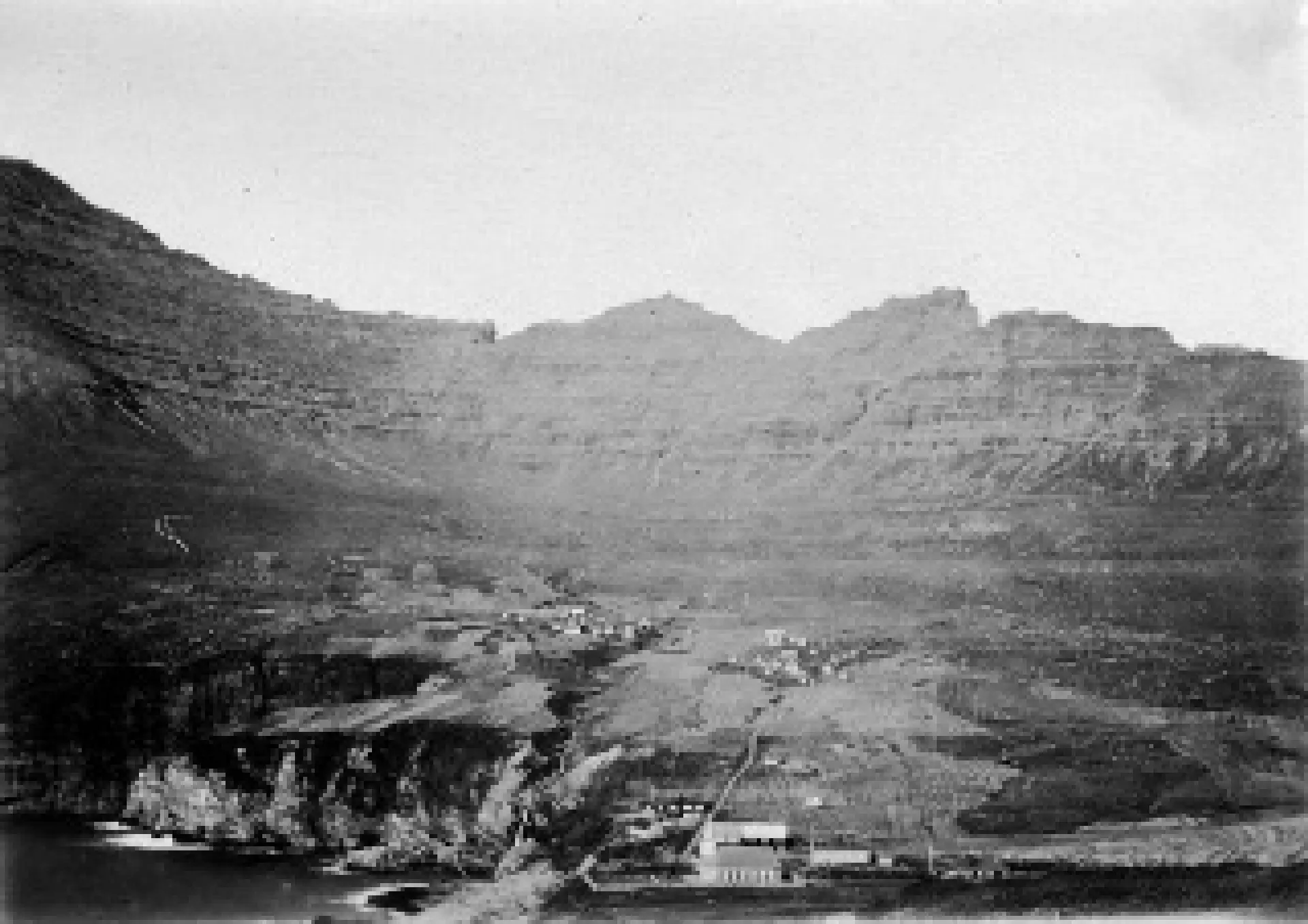 Viðareiði